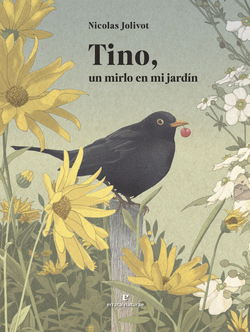 Tino, un mirlo en mi jardín