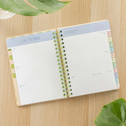 Agenda escolar semanal 2025-2026 Defreds