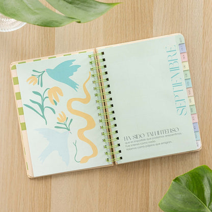 Agenda escolar semanal 2025-2026 Defreds