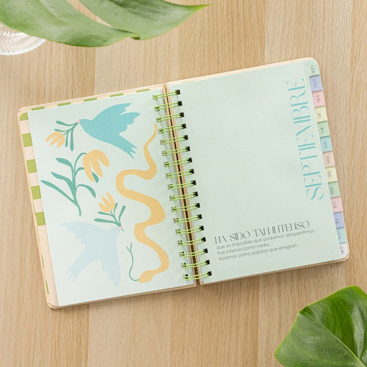 Agenda escolar semanal 2025-2026 Defreds