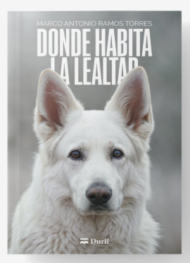 Donde habita la lealtad